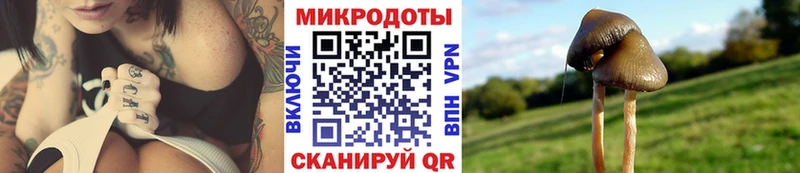 Галлюциногенные грибы Psilocybe  Оханск 